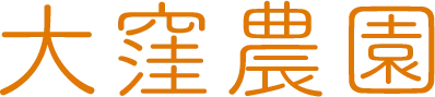 自然の恵みが詰まった通販のお米